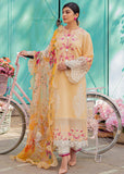 Mushq Stella HML23-6B Hemline Tesoro Spring Summer Collection