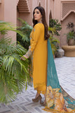 Rangrasiya Hazel Karandi Shawl Collection