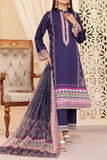 VS D-245 Anmol Cottel Collection
