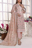 VS Textile D-250 Anmol Cottel Winter Collection
