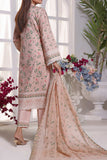VS D-250 Anmol Cottel Collection