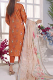 VS D-251 Anmol Cottel Collection