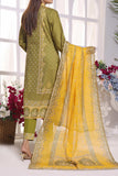 VS D-246 Anmol Cottel Collection