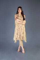 Bareeze Night Out Bnl783 Beige Dress