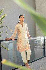 Dhanak SS24DA-2213 Beige Spring Summer Pret Collection 2024