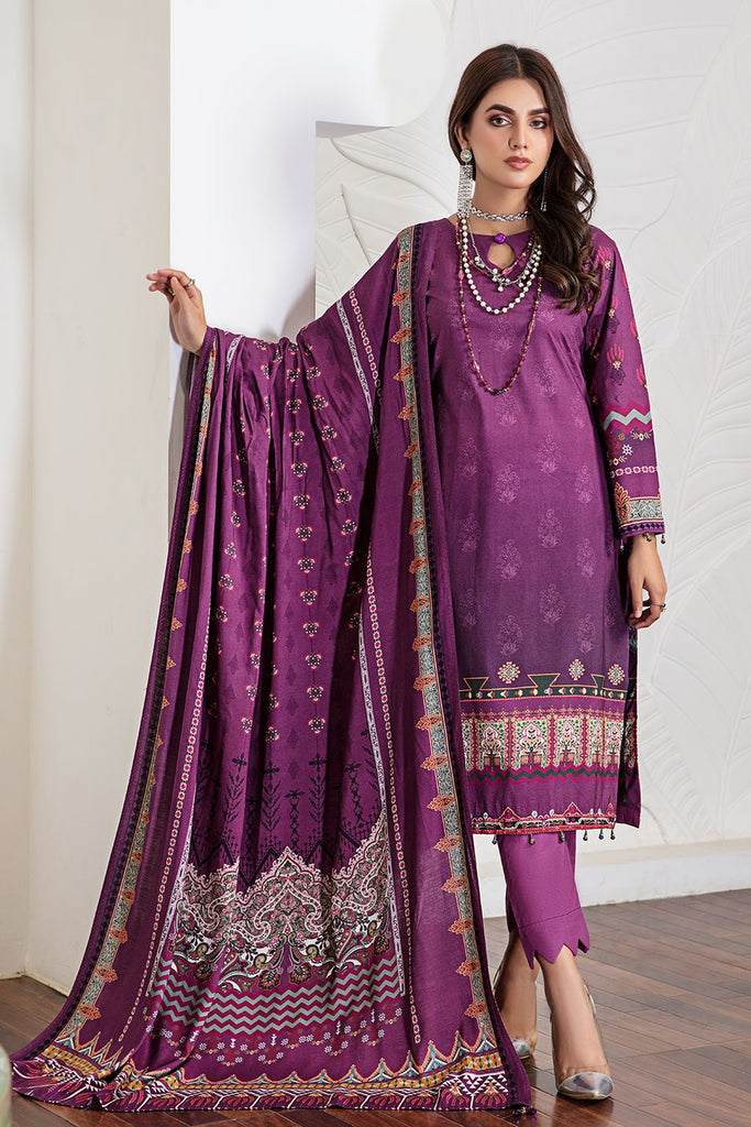 Meeral Pret Plain Raw Silk 2 Piece Suit SOL-004-V2