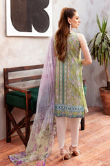 Ramsha L-904 Lawn Collection 2024