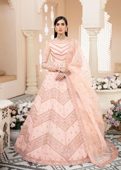 Akbar Aslam Blush Wedding Formals