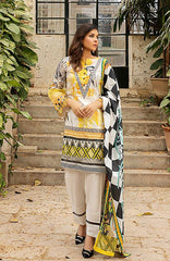 Al Zohaib CCDL-21-02 Coco Digital Lawn 2021