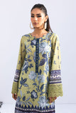 Nureh NGL-07 N-Girl Prints 2024
