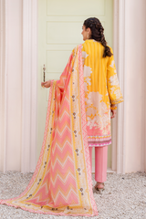 Jahanara CJ10-08 Melon Lawn Vol IV 2022