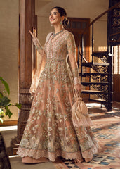 Crimson An Ethereal Fantasy Aik Jhalak Wedding Collection