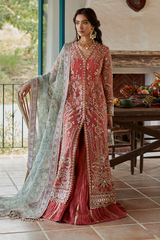 Suffuse Amaani Freeshia Festive Collection