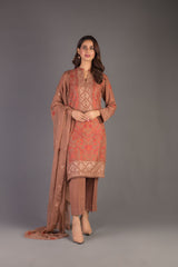 Bareeze Rushant Ch3310 Brown Dress