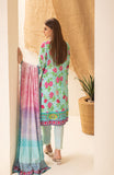 Alzohaib CSD-23-07 Colors Digital Striped Doria Edition