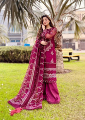 Meeral Khawaab Dastaan Chiffon Colelction