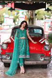 Saadia Asad D6-B Noor Luxe Printkari