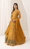 Asifa N Nabeel Chashni (ANB-03) Barasti Festive Edition