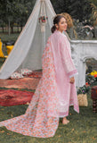 Adan Libas CH-02 5158 Chikankari