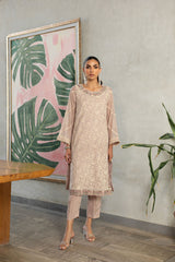 Dhanak DA-2225 Light Pink Spring Summer Pret Collection 2024