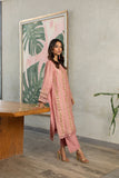 Dhanak SS24DA-2288 Light Pink Spring Summer Pret Collection 2024
