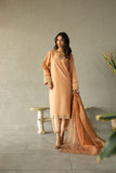 Dhanak SS24DA-2293 Light Pink Spring Summer Pret Collection 2024