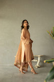 Dhanak SS24DA-2293 Light Pink Spring Summer Pret Collection 2024
