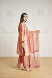 Dhanak DL 0199 Pink 3pcs Eid Edits 2022