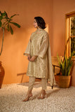 Dhanak DL-0207 Beige Festive Signature Pret 2022