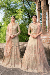 Ramsha H-202 Luxury Wedding Collection