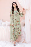 Ramsha A-607 Chiffon Chevron Collection 2024