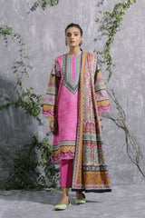 Ethnic Chelsea E0107 202 409 Special Price D III 2022