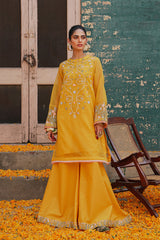 Ethnic E0202 105 106 106 Sarson Capsule Eid Collection 2022