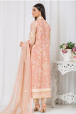 Imrozia SP-34 French Knot Eid Fancy Prets