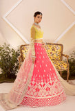 Akbar Aslam Meyer Nyra Summer Chiffon Collection