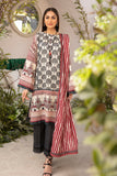 Ittehad LF CL1 2209b Crystal Lawn 2022
