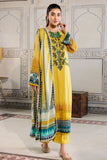 Ittehad lf-rl1-2208b Premium Summer 2022