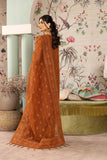 Alizeh Larisa Dhaagay Chiffon Collection