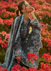 Image Seline Spring Lawn Collection 2024