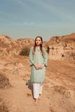 Nishat Linen PS23-141 Pret