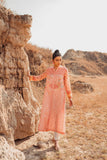Nishat Linen PS23-81 Pret