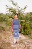 Nishat Linen PS23-86 Pret