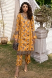 Rangrasiya Liah Florence Summer Edition