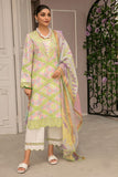 Rangrasiya Lily Florence Summer Edition