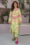 Rangrasiya Coco Florence Summer Edition
