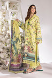 Rang Rasiya Apple Green Summer Breeze Lawn Collection