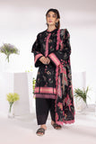 Rang Rasiya Midnight Summer Breeze Lawn Collection