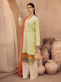 Rajbari D_3A Premium ChikanKari Collection