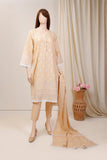 Saya Nude Peach Stitched Chikankari 3 PCS
