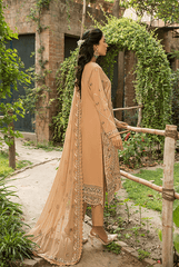 Zebtan ZL-3-Skin Luxury Lawn Collection